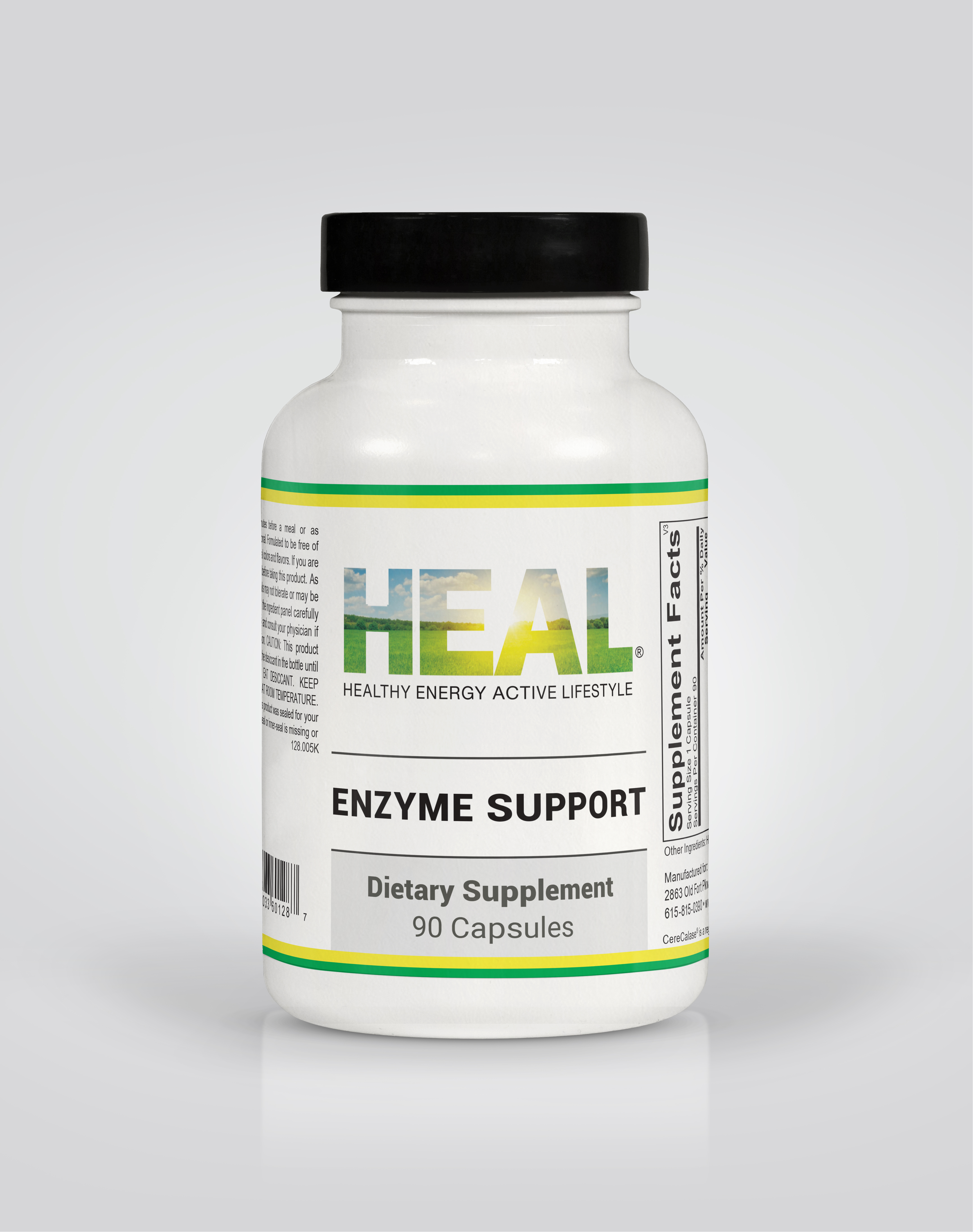 Enzyme Support