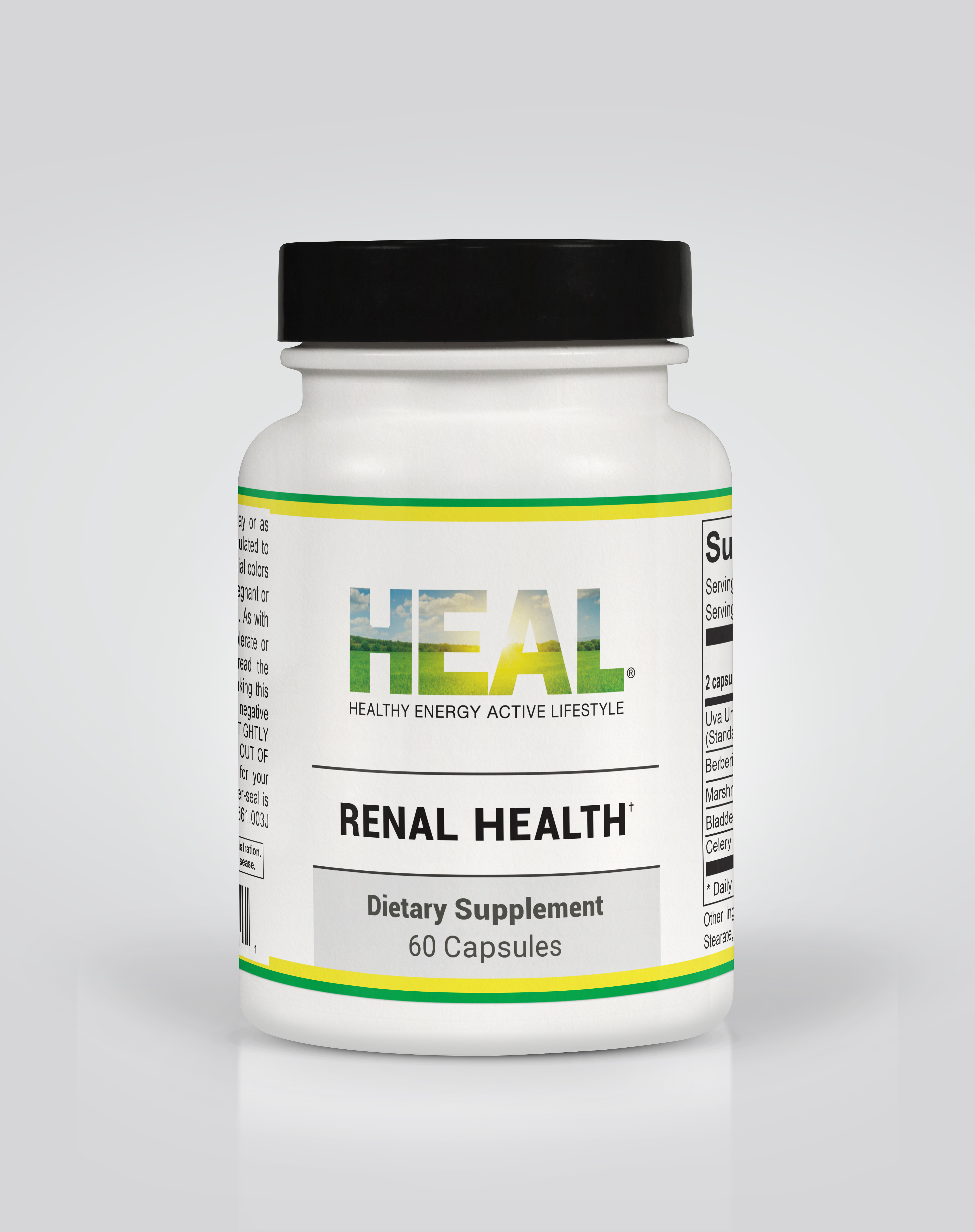 Renal Health